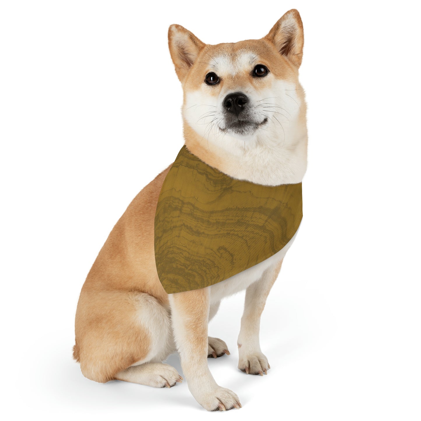 Halftone Woodgrain Bandana Collar